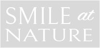 Smile at Nature Logo